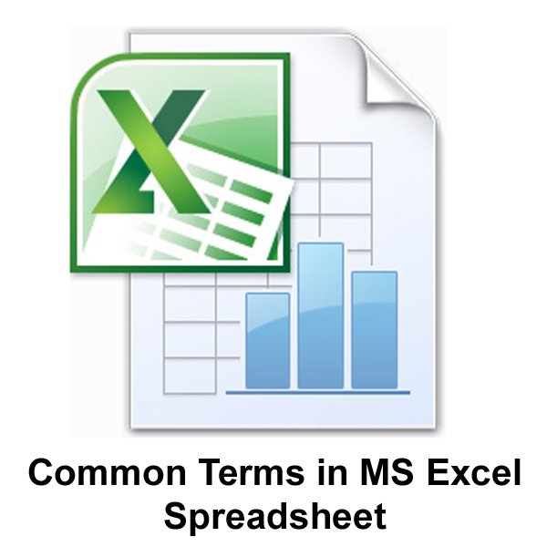 common-terms-in-ms-excel-spreadsheet